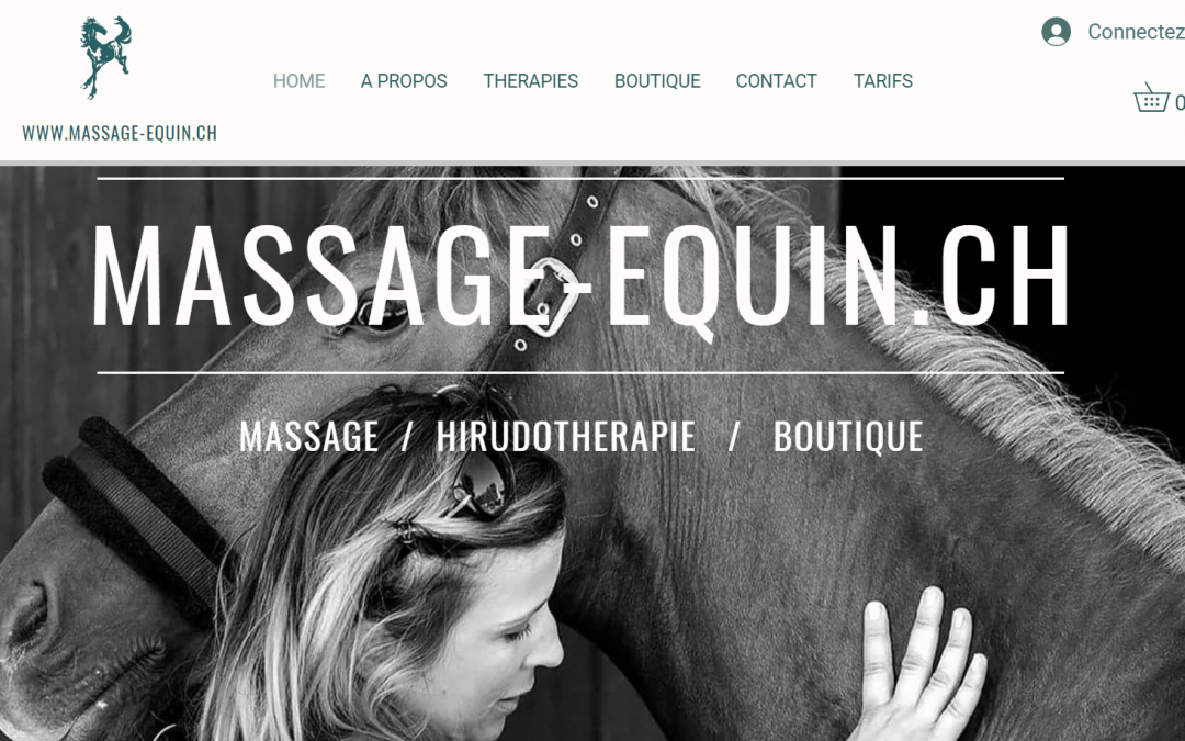 Le massage du cheval et l’hirudothérapie Equine